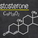 Does Testosterone Promote Hair Growth ?