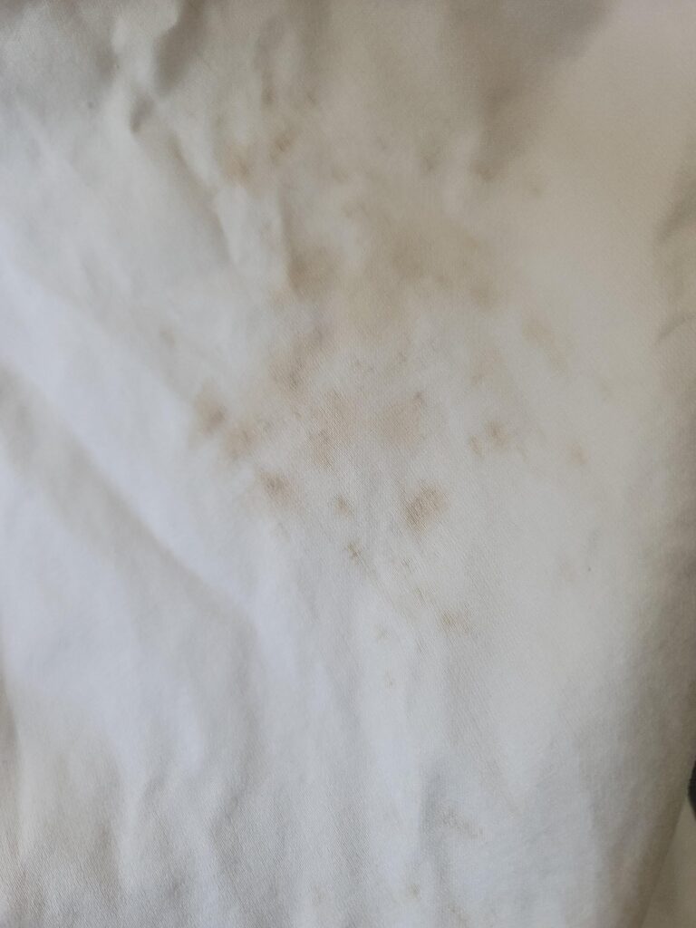 Will Makeup Stain Polyeste ?
