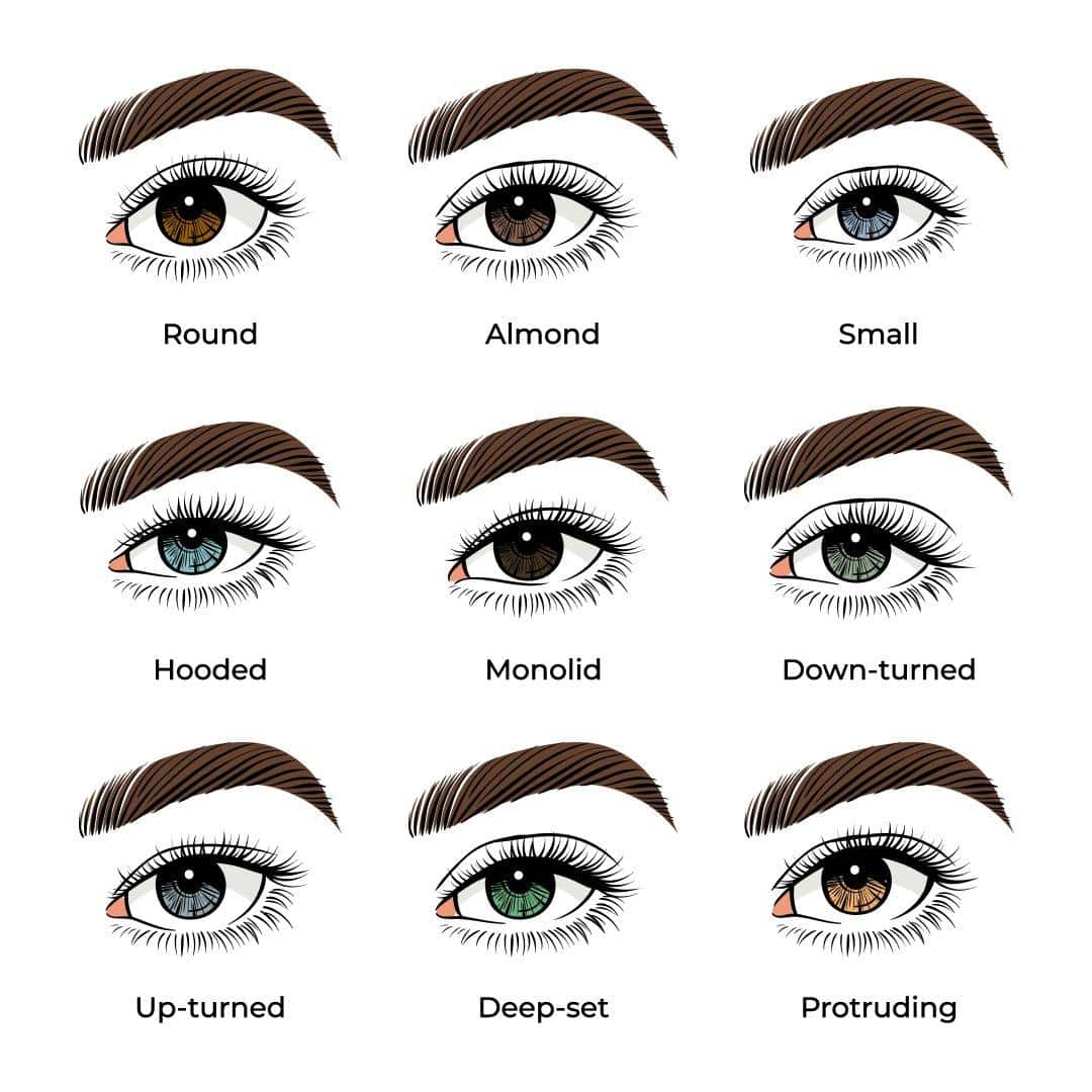 How To Properly Apply Makeup ? How To Properly Apply Makeup ?