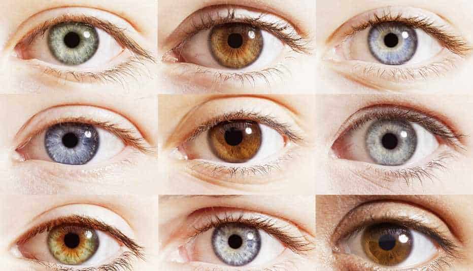 What Colour Mascara For Brown Eyes ? What Colour Mascara For Brown Eyes ?