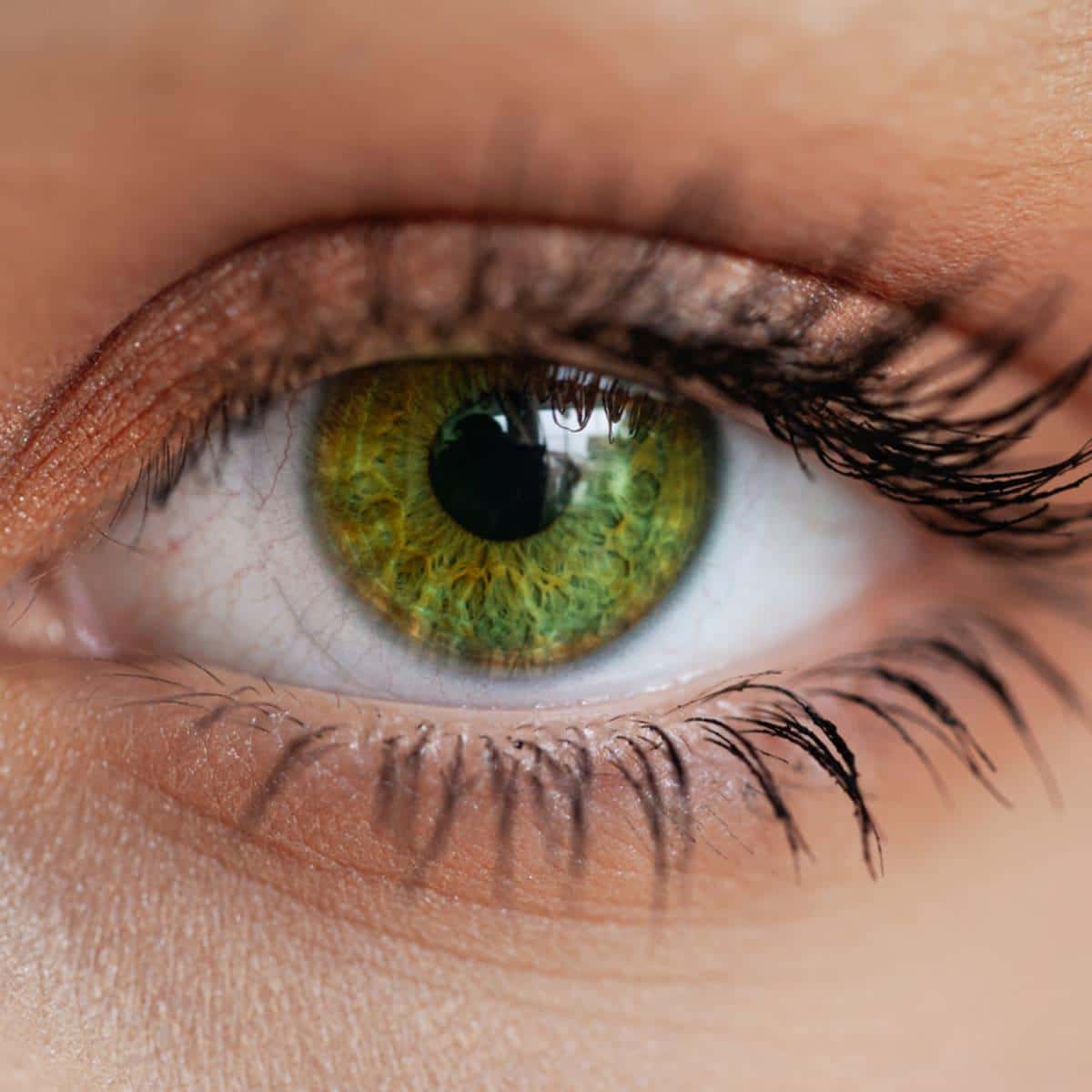 What Hair Color Looks Best With Green Eyes ? What Hair Color Looks Best With Green Eyes ?