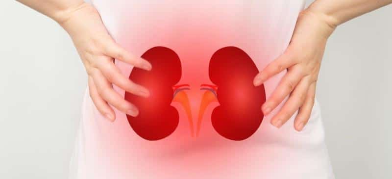 Can Kidney Failure Cause Hair Loss ? Can Kidney Failure Cause Hair Loss ?