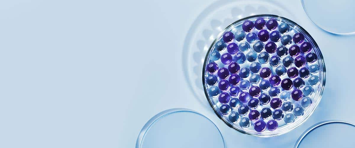 What Is Ceramides In Skin Care ? What Is Ceramides In Skin Care ?