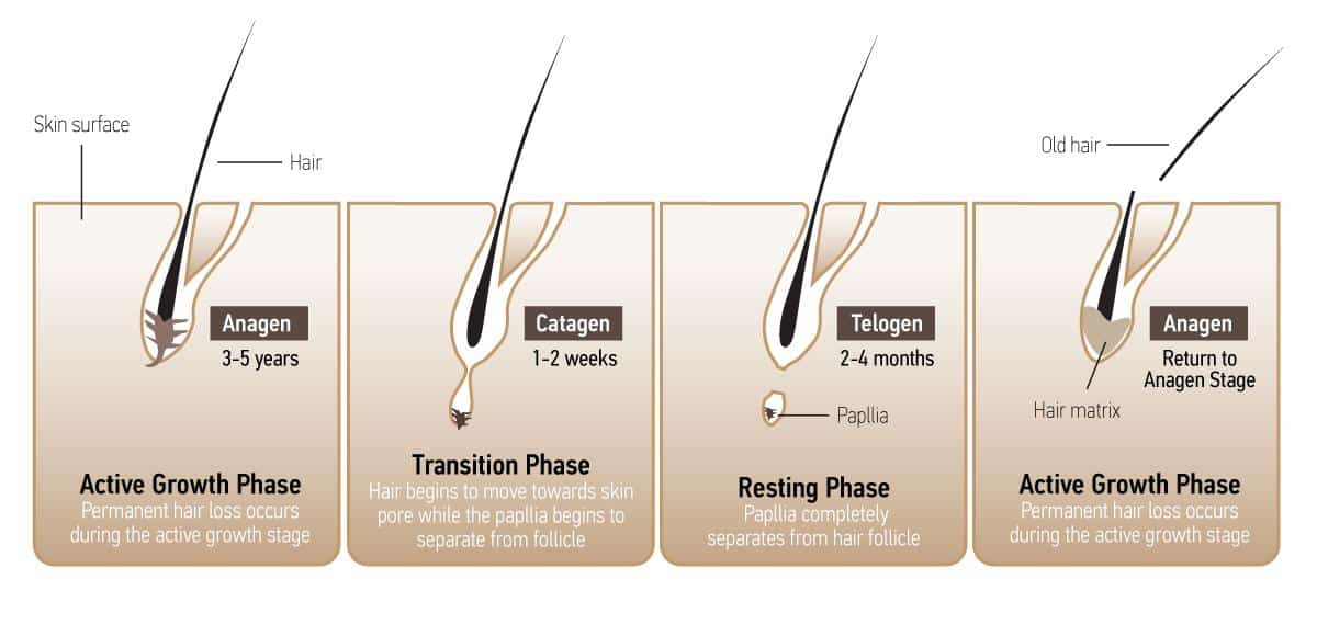 What Shampoo Will Pass A Hair Follicle Test ? What Shampoo Will Pass A Hair Follicle Test ?