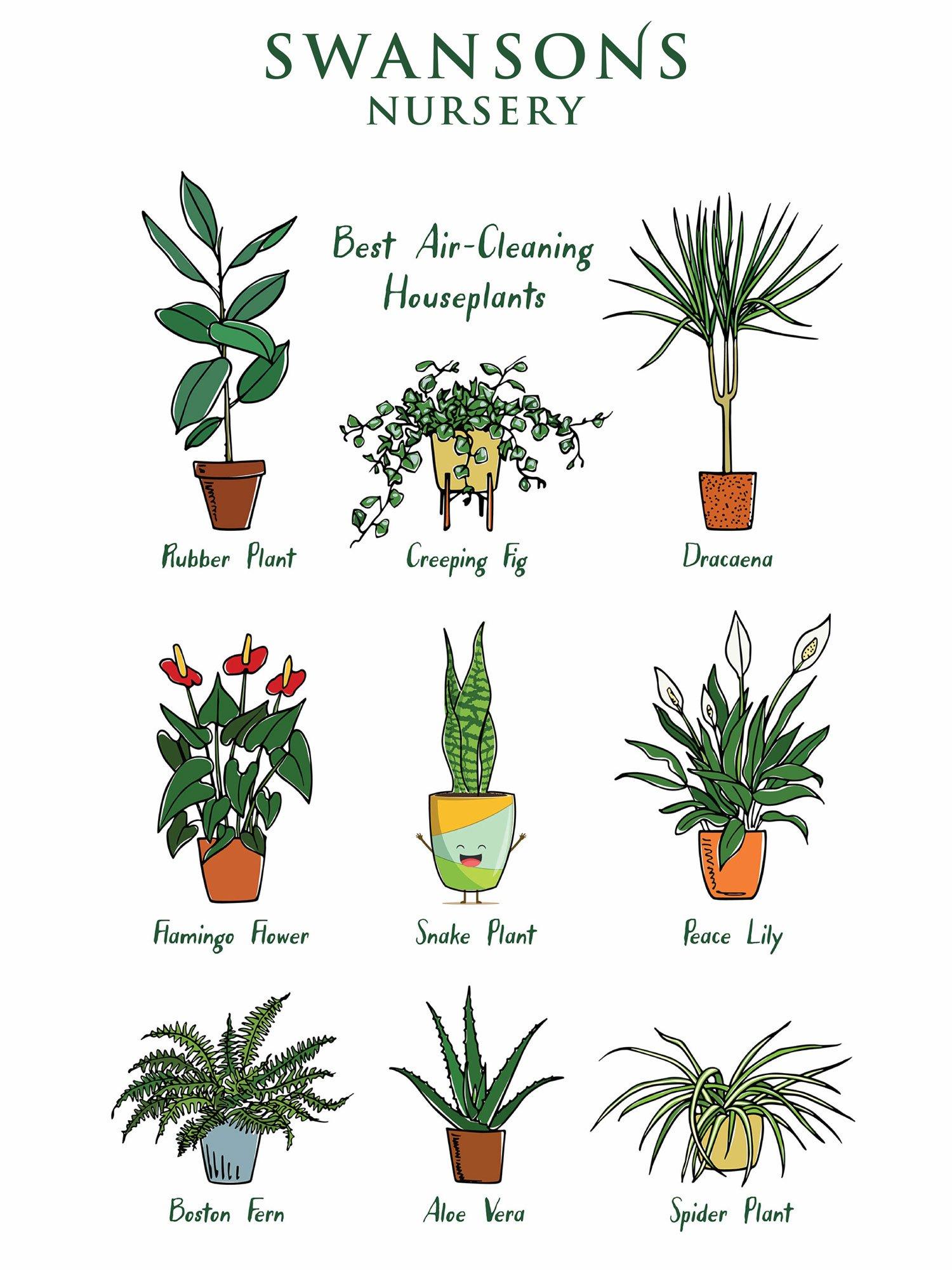 How Do Plants Help Do The Hair Dye ? How Do Plants Help Do The Hair Dye ?