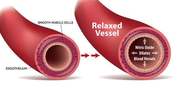 Does Nitric Oxide Help With Hair Loss ? Does Nitric Oxide Help With Hair Loss ? Does Nitric Oxide Help With Hair Loss ? Does Nitric Oxide Help With Hair Loss ?