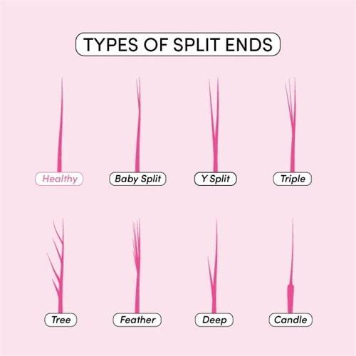 Do Split Ends Stunt Hair Growth ? Do Split Ends Stunt Hair Growth ? Do Split Ends Stunt Hair Growth ? Do Split Ends Stunt Hair Growth ?