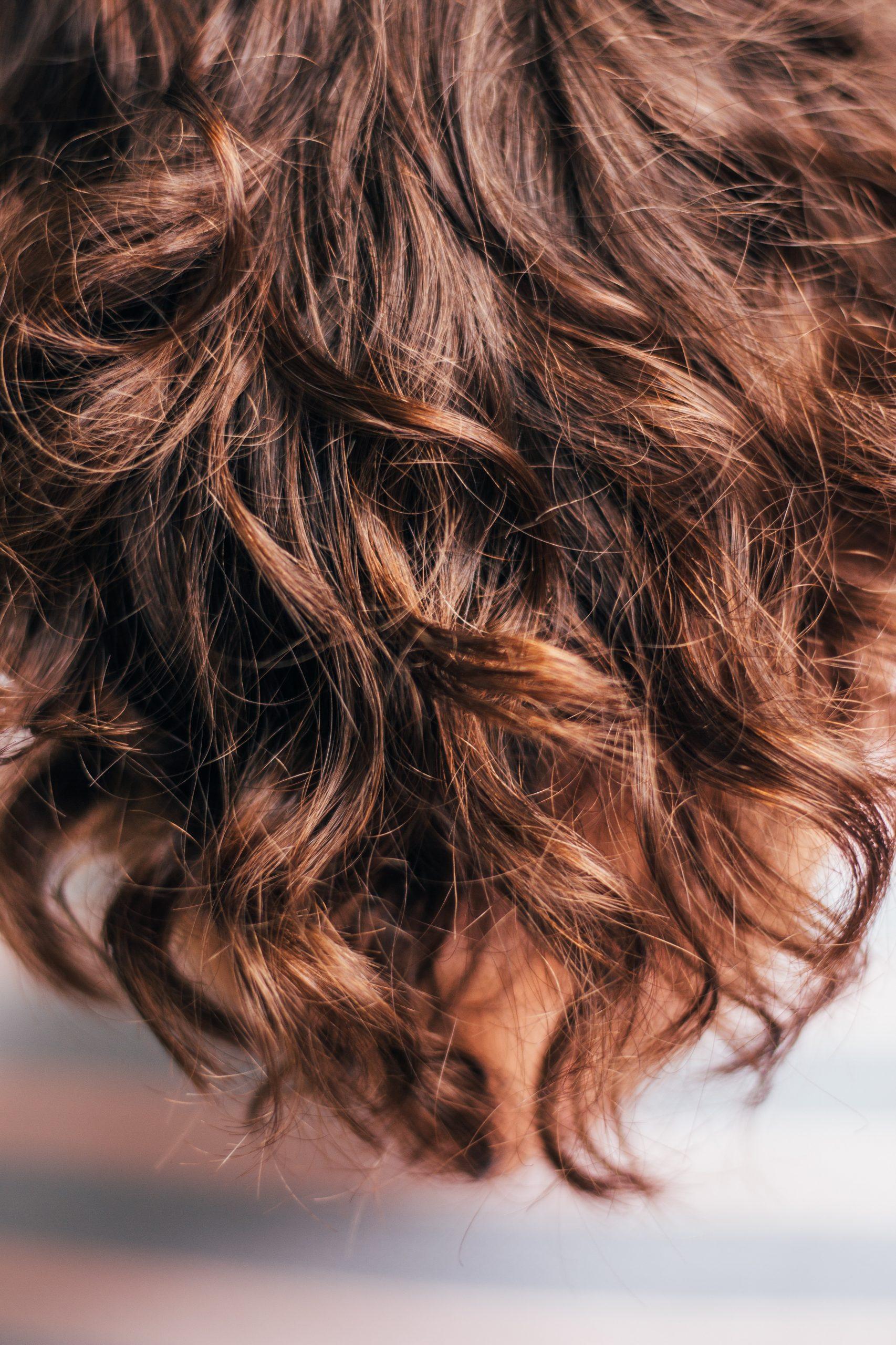 How To Fix Dry Hair Ends ? How To Fix Dry Hair Ends ? How To Fix Dry Hair Ends ? How To Fix Dry Hair Ends ?