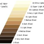 A Level 12 Hair Color Is ?