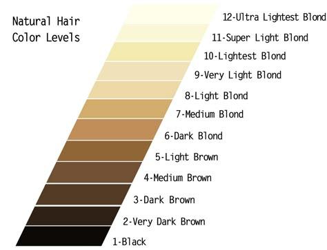 A Level 12 Hair Color Is ?