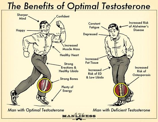 Can High Testosterone Cause Hair Loss ?