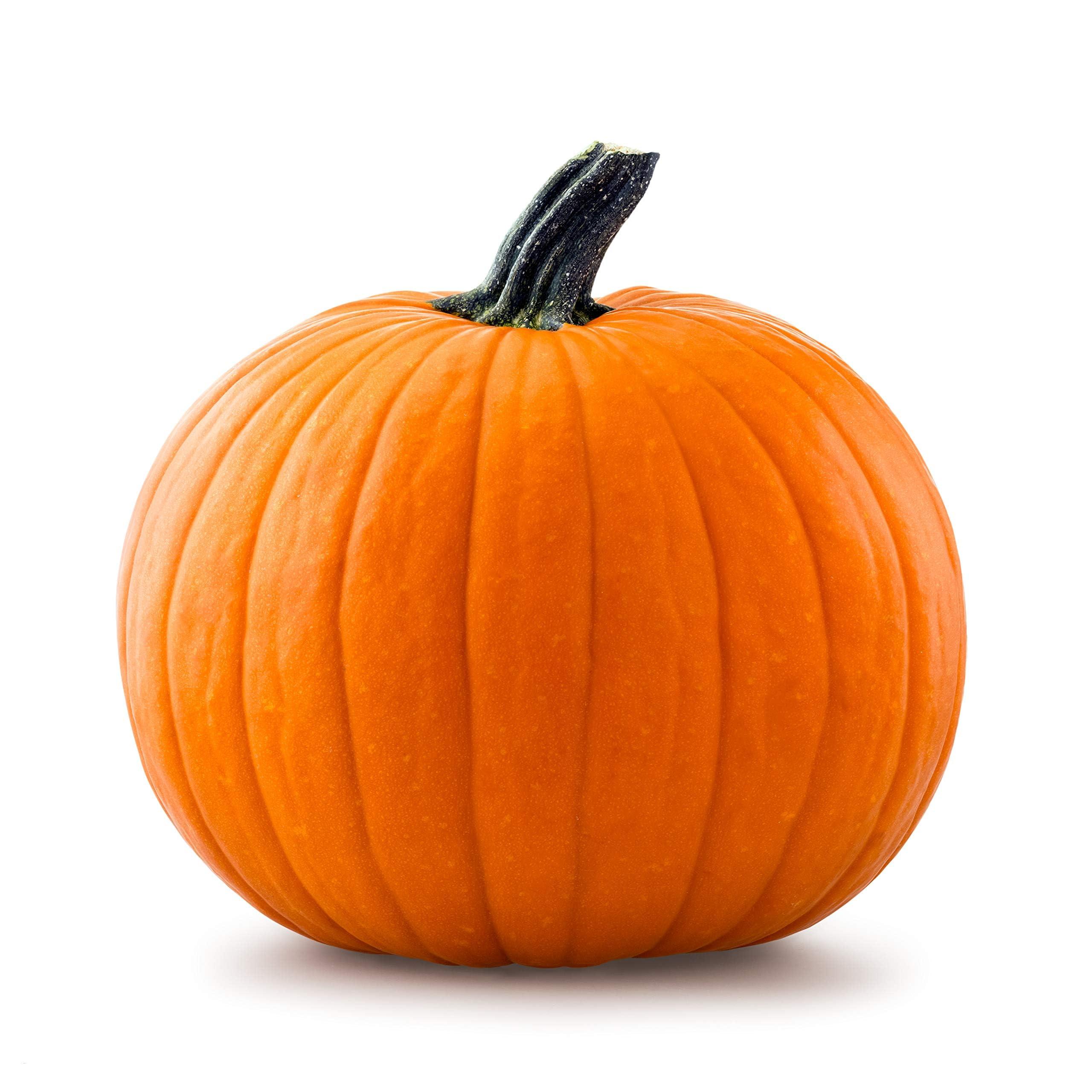 Can Eating Two Pumpkins Make Your Hair Growth Faster ? Can Eating Two Pumpkins Make Your Hair Growth Faster ? Can Eating Two Pumpkins Make Your Hair Growth Faster ? Can Eating Two Pumpkins Make Your Hair Growth Faster ?