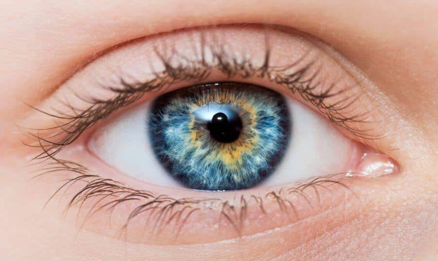 What Hair Color Brings Out Blue Eyes ? What Hair Color Brings Out Blue Eyes ?