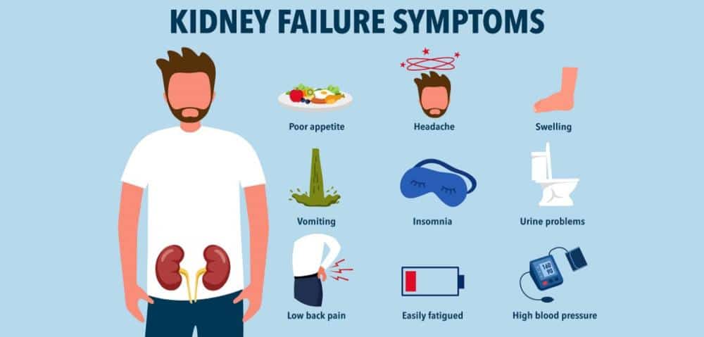 Can Kidney Problems Cause Hair Loss ? Can Kidney Problems Cause Hair Loss ?