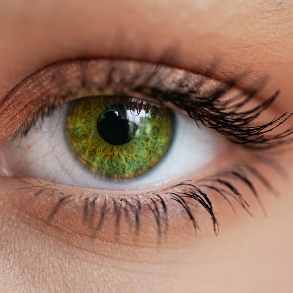 What Hair Color Goes Best With Green Eyes ?