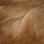 How To Get Rid Of Straight Hair ?