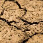 Can Dehydration Lead To Hair Loss ?