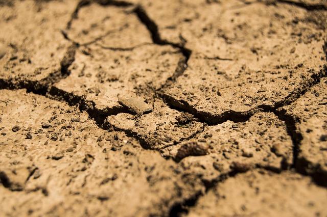 Can Dehydration Lead To Hair Loss ?
