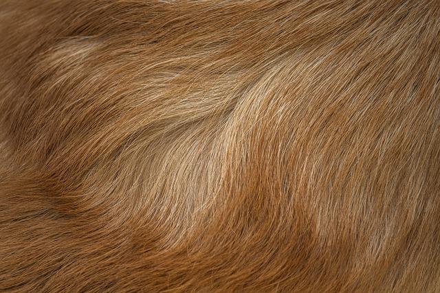 How To Get Dreads For Straight Hair ?